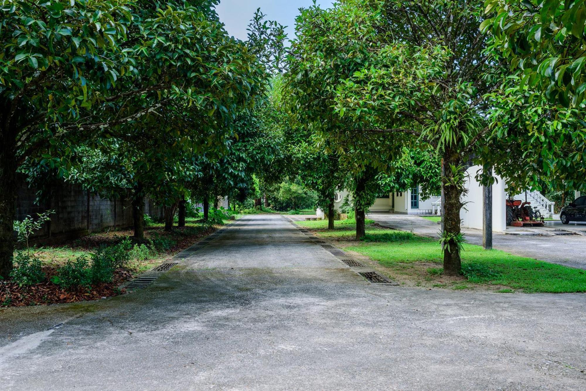 Bann Mangkud Khaolak Villa Khao Lak Dış mekan fotoğraf